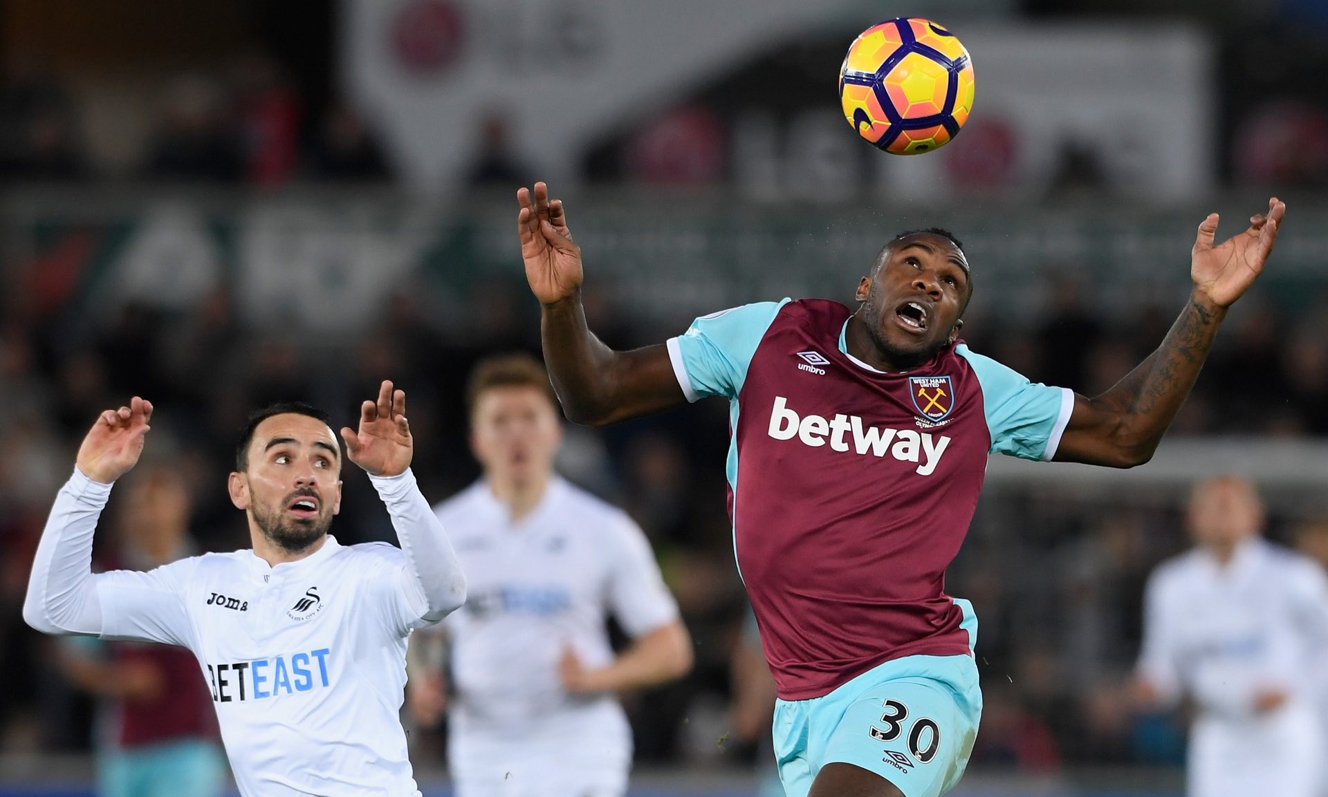 容的美好期 容的美好期